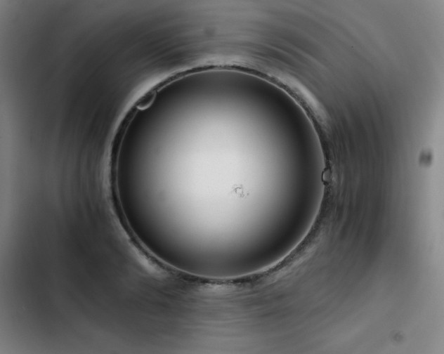 X0000103310894200808291426