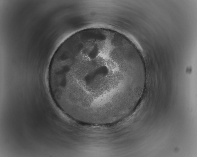 X0000103310895200808291426