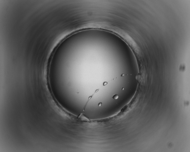 X0000103310896200808291426