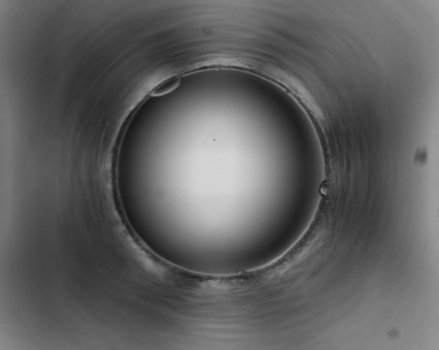 X0000103310898200808291426