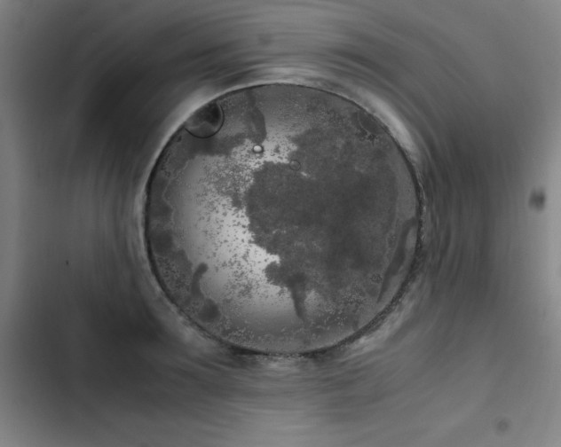 X0000103310899200808291426