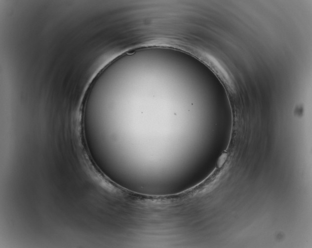 X0000103310900200808291426