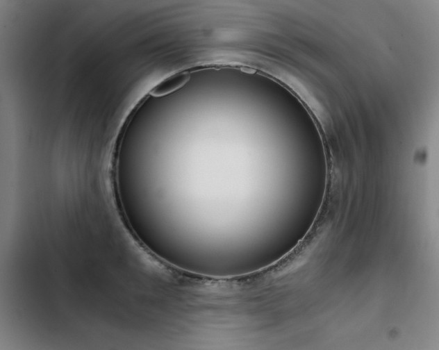 X0000103310901200808291426