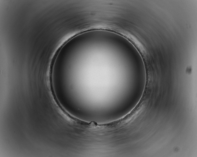 X0000103310902200808291426