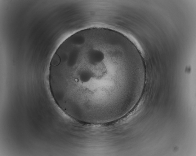 X0000103310903200808291426