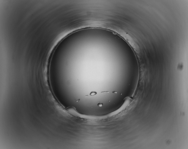 X0000103310904200808291426
