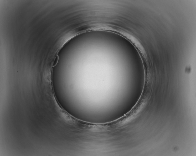 X0000103310905200808291426
