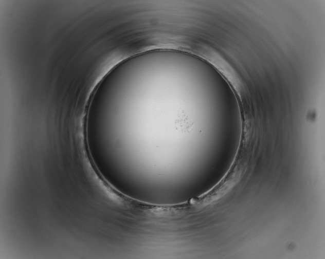X0000103310906200808291426