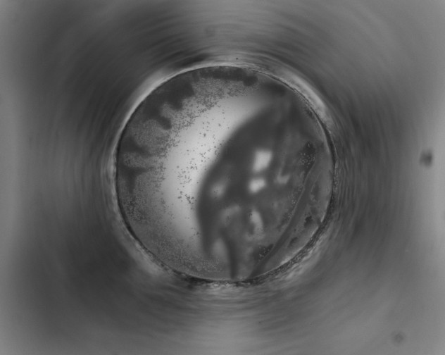 X0000103310907200808291426