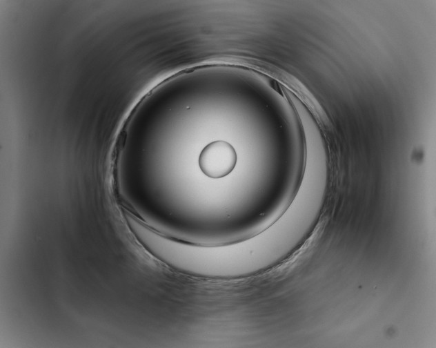 X0000103310908200808291426