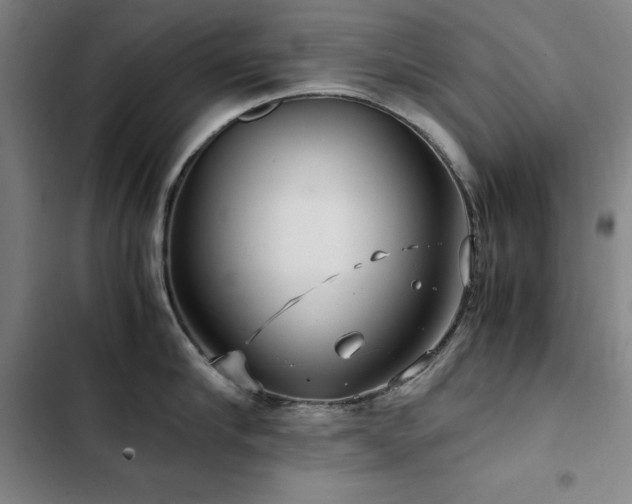 X0000103310910200808291426