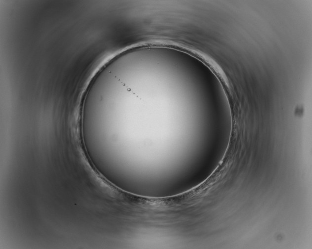 X0000103310911200808291426
