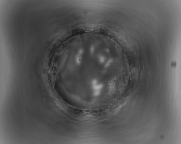 X0000103310913200808291425