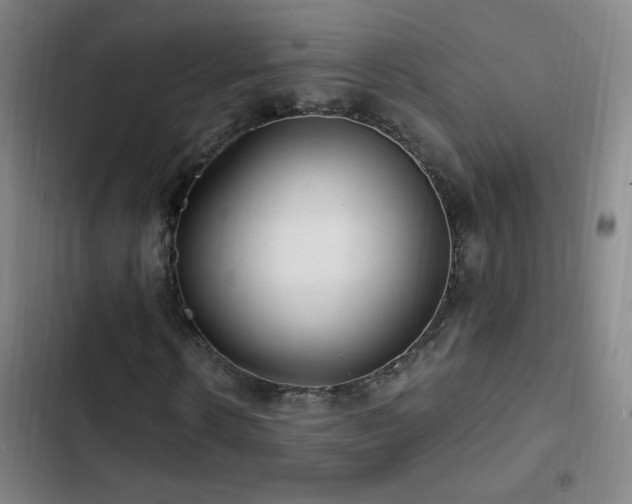 X0000103310914200808291425