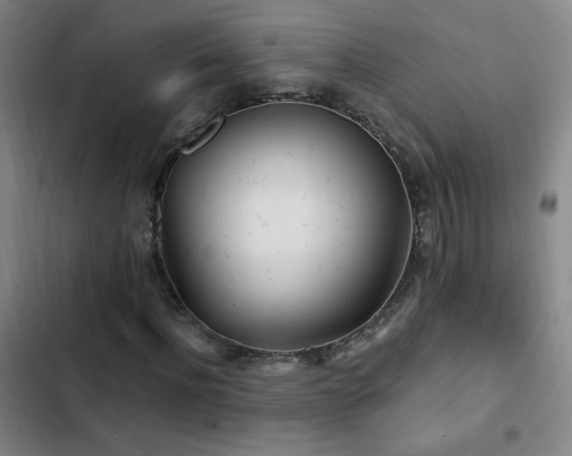 X0000103310916200808291425