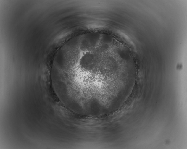 X0000103310917200808291425