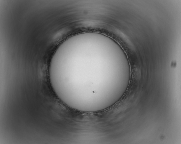 X0000103310918200808291425