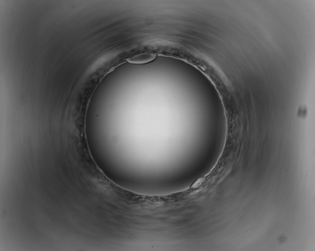 X0000103310919200808291425