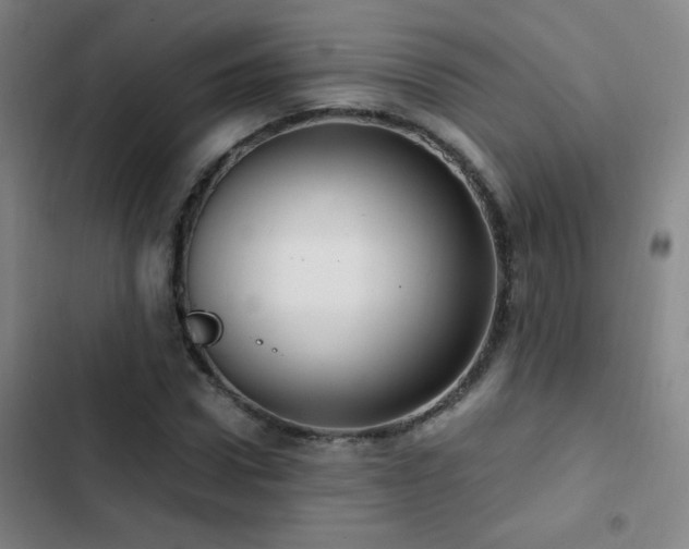 X0000103310922200808291425