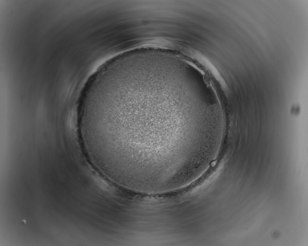 X0000103310923200808291425