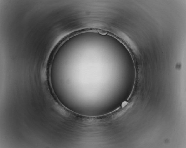 X0000103310924200808291425