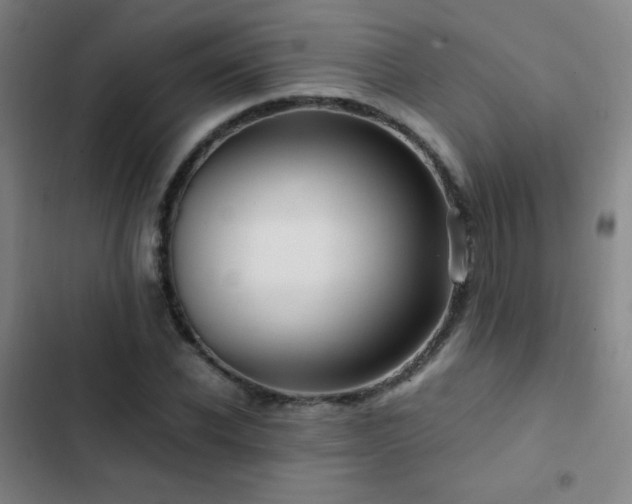 X0000103310926200808291425