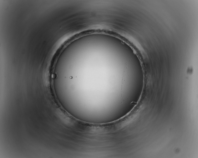 X0000103310927200808291426