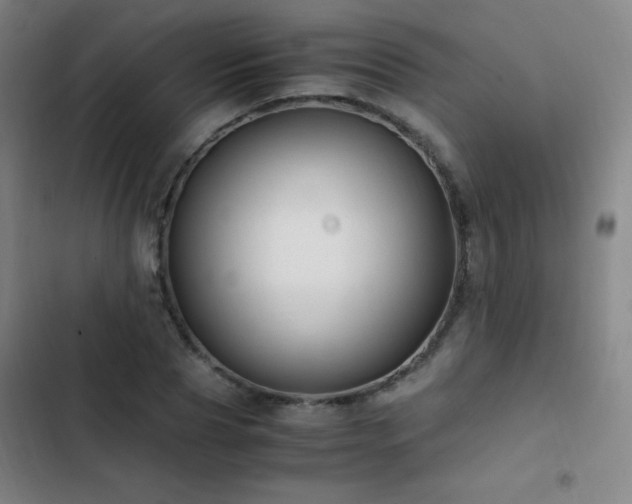 X0000103310929200808291426