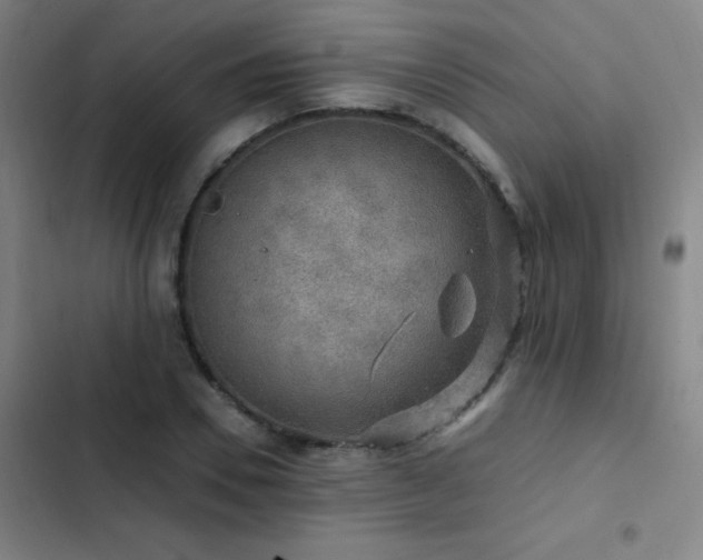X0000103310930200808291426