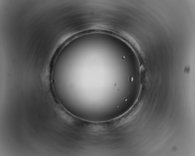 X0000103310931200808291426