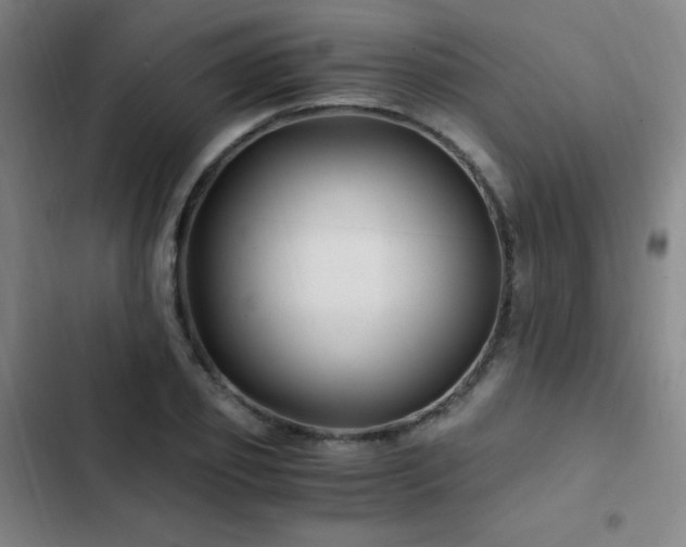 X0000103310933200808291426