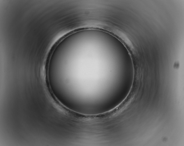 X0000103310936200808291426