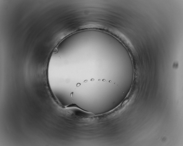 X0000103310937200808291426