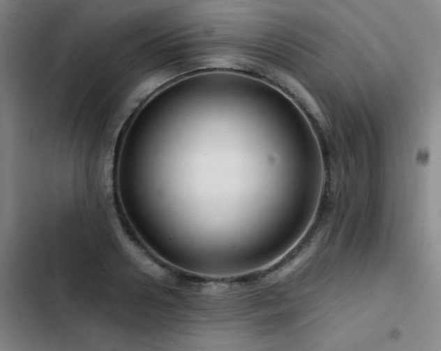 X0000103310938200808291426