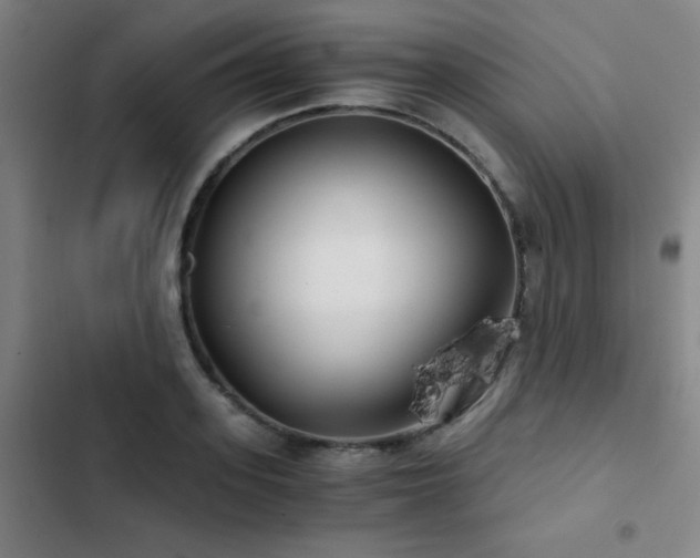 X0000103310939200808291426