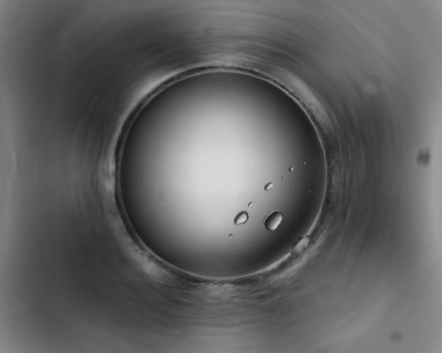 X0000103310940200808291426