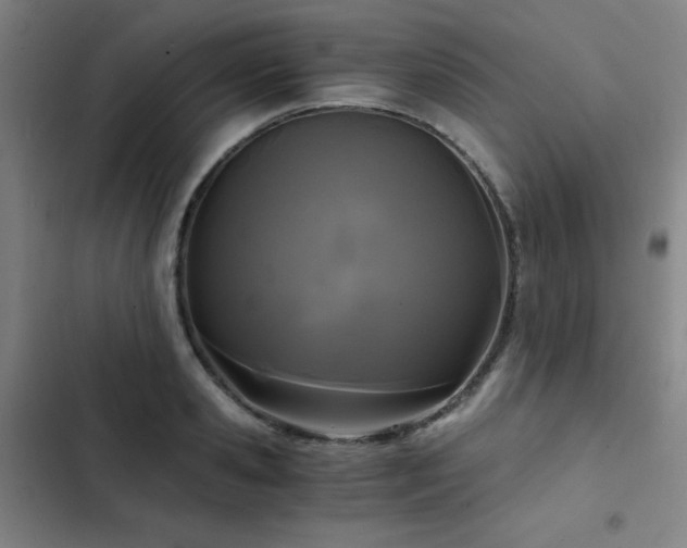 X0000103310941200808291426