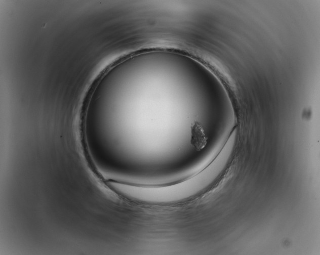 X0000103310942200808291426