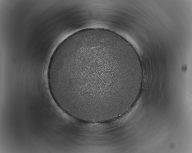 X0000103310943200808291426