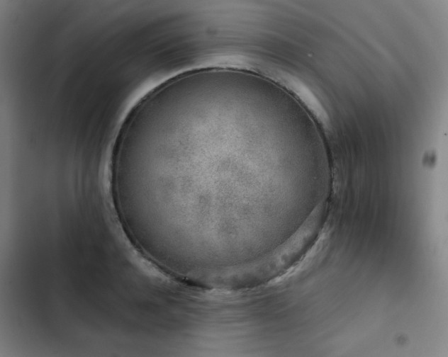 X0000103310944200808291426