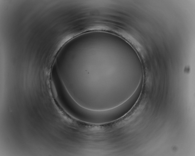 X0000103310945200808291426