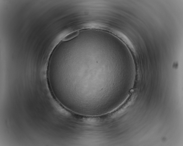 X0000103310946200808291426