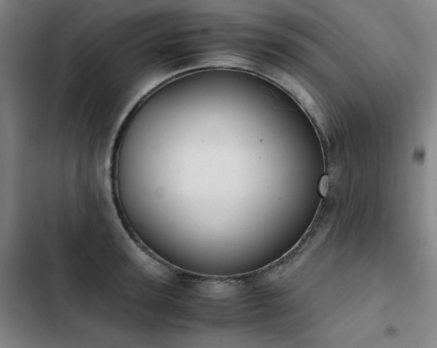 X0000103310947200808291426