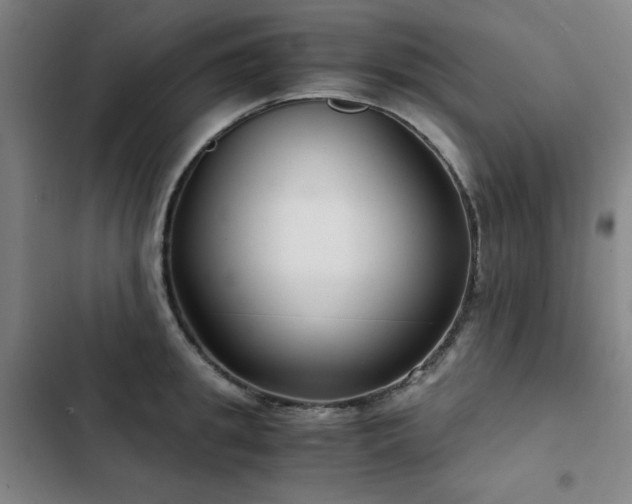 X0000103310949200808291426