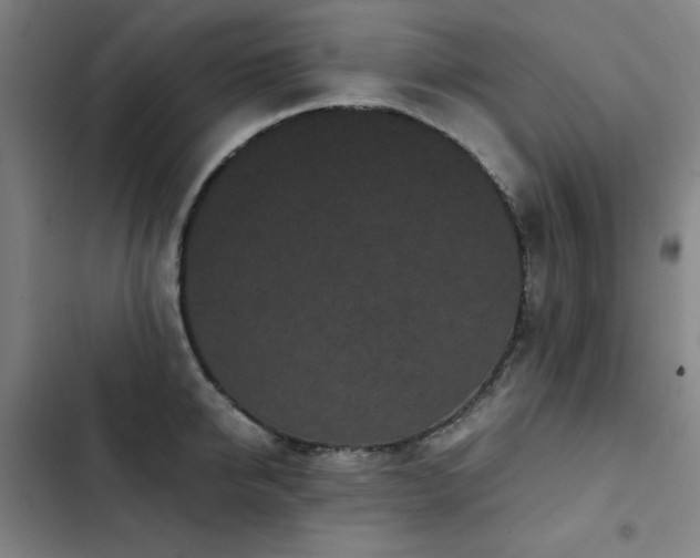 X0000103310950200808291426