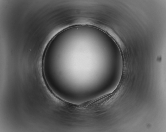 X0000103310951200808291426