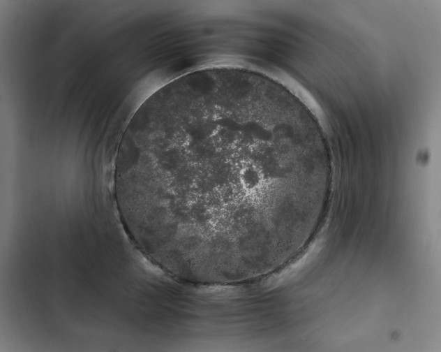 X0000103310953200808291426