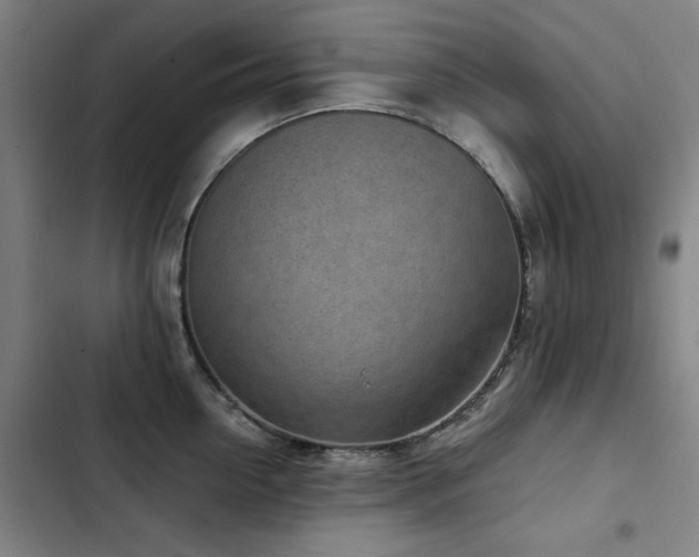X0000103310954200808291426