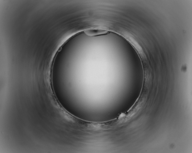 X0000103310956200808291426