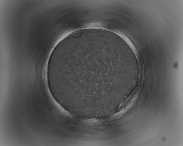 X0000103310957200808291426